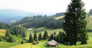Nicole Kidman, Romania and the Facebook game with the theme of conserving Romania’s forests
