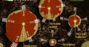 INFOGRAFIC Date statistice despre tăierile de pădure din România între 1990 și 2010