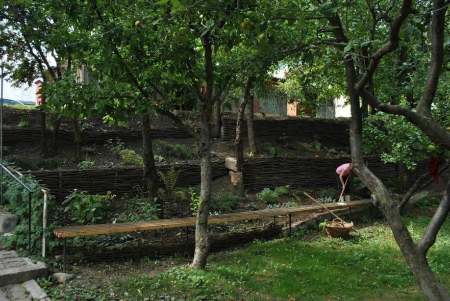 MOL România va acorda finanțări de 650.000 de lei pentru 50 de proiecte de mediu