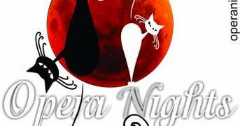Vino la Castelul Corvinilor la Opera Nights, cel mai mare festival de operă în aer liber din România!