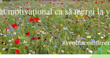 citat motivațional ca să mergi la vot