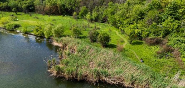 Vești importante pentru locuitorii orașului! E oficial, Bucureștiul are o nouă arie naturală protejată: Pajiștea Petricani
