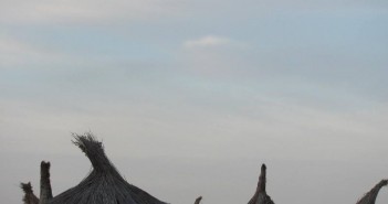 FOTO: Liniste-in-Vama